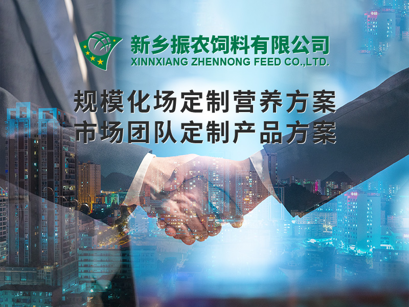 規(guī)?；喼?></div>
                                  <div   id=